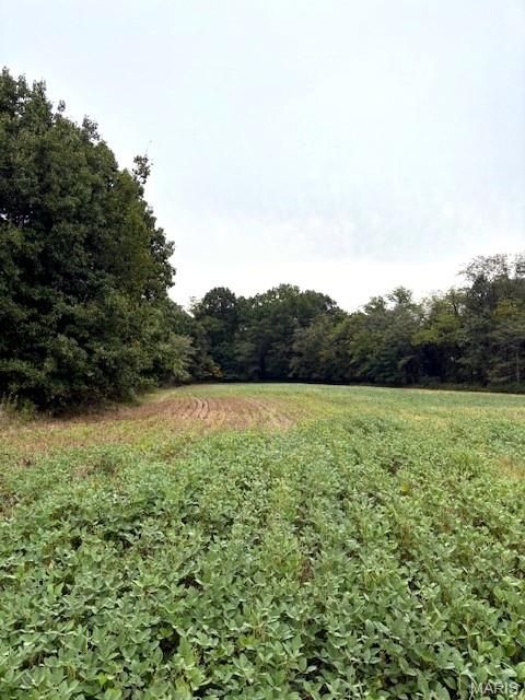 Tiny photo for 80 Dream Hollow Road, Troy, MO 63379 (MLS # 25064948)