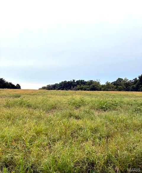 Tiny photo for 80 Dream Hollow Road, Troy, MO 63379 (MLS # 25064948)