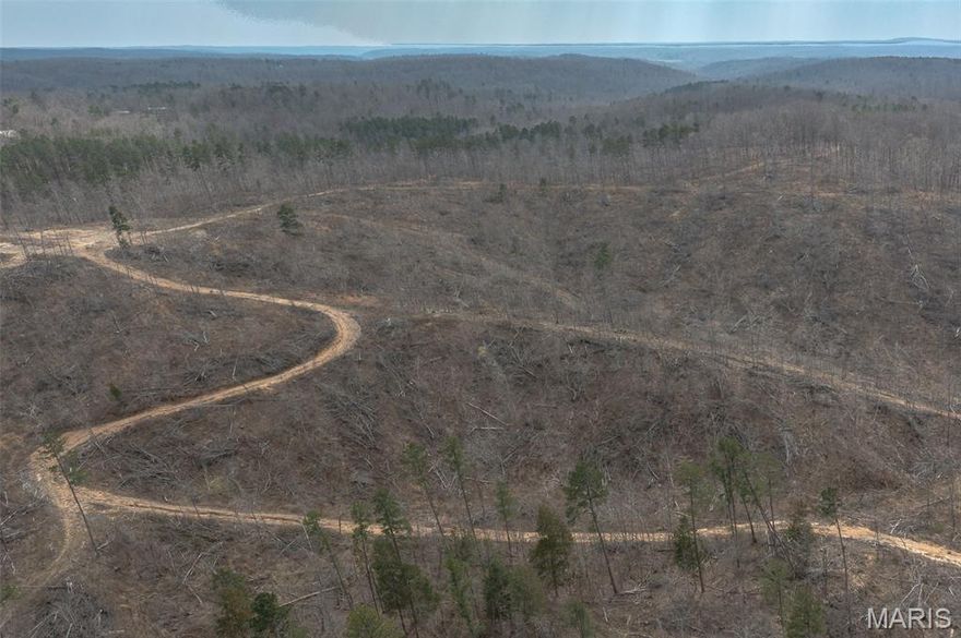 88 +/- wooded acres joining thousands of acres of Mark Twain National Forest. A recent timber harvest has left a good road system, several landings that could easily be converted to food plots or building sites, and a ton of successional regrowth sure to help the already abundant wildlife population continue to grow. With road frontage, electric on the property, and located just minutes from Marquand, a grocery store, local winery, and the Castor River, this property is well positioned to take advantage of all the area has to offer.