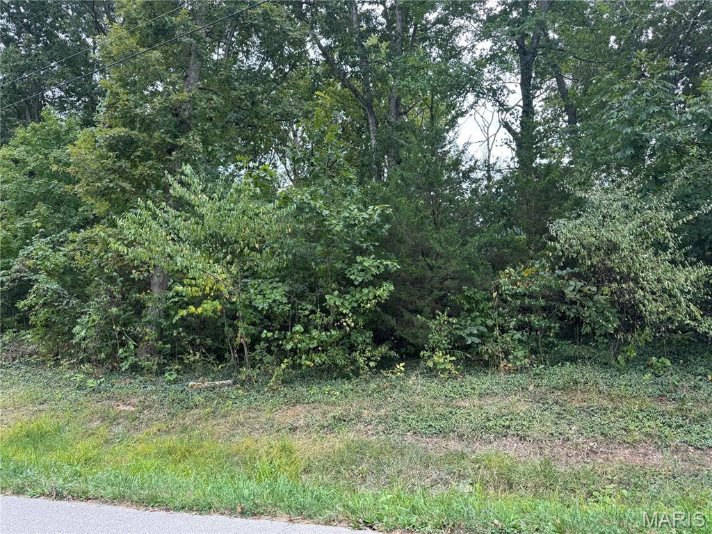 Lake Forest Estates - Land