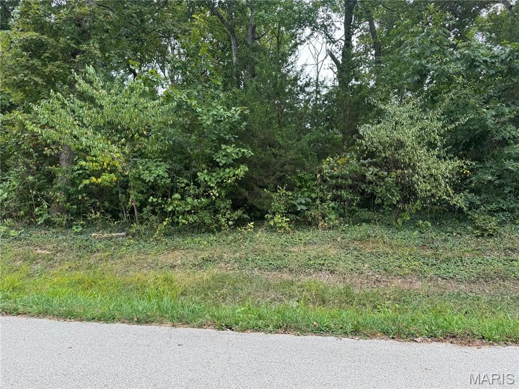 Lake Forest Estates - Land