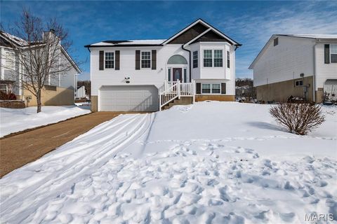 2467 Waterfront Drive Imperial MO 63052