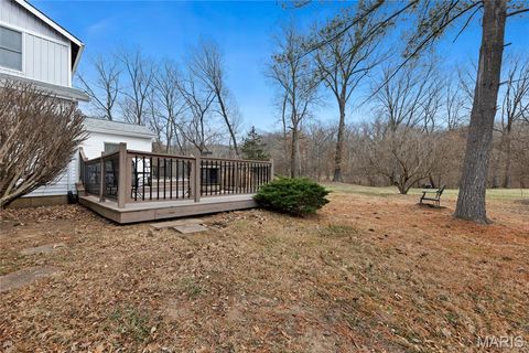 Tiny photo for 1800 Wade Court, Wildwood, MO 63011 (MLS # 26003945)
