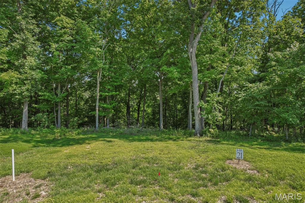 8 Forest Ridge Lane
