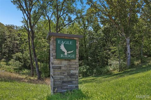 8 Forest Ridge Lane Litchfield IL 62056