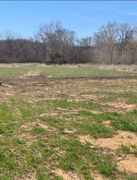 Tiny photo for 221 Sycamore Creek Drive, Winfield, MO 63389 (MLS # 26014910)