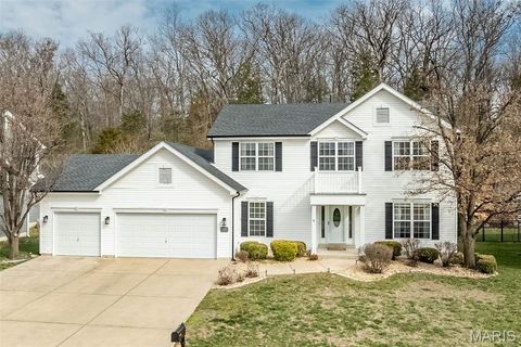 Photo of 1546 Hunters Meadow Drive, OFallon, MO 63366 (MLS # 25074228)