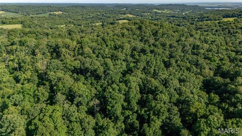 Tiny photo for 0 Old 79 Highway T, New London, MO 63459 (MLS # 25047509)