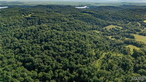 Tiny photo for 0 Old 79 Highway T, New London, MO 63459 (MLS # 25047509)