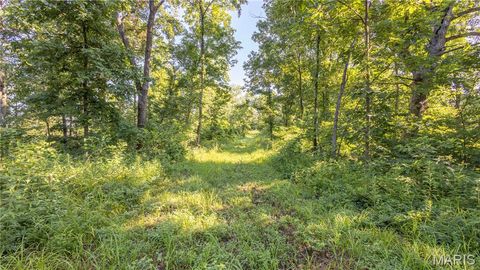 Tiny photo for 0 Old 79 Highway T, New London, MO 63459 (MLS # 25047509)