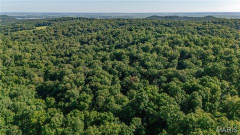 Tiny photo for 0 Old 79 Highway T, New London, MO 63459 (MLS # 25047509)