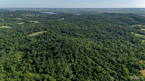 Tiny photo for 0 Old 79 Highway T, New London, MO 63459 (MLS # 25047509)