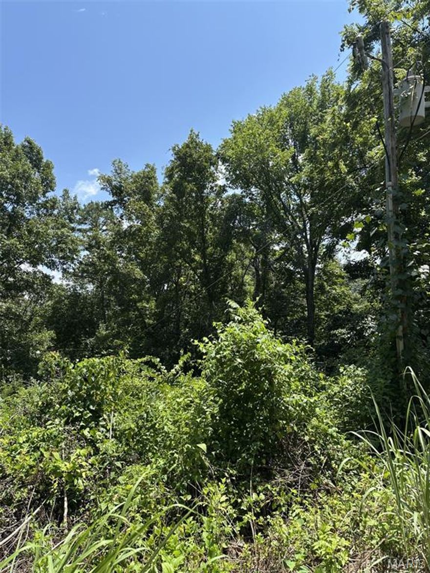 Three wooded, undeveloped circular lots available in Deer Run. These lots are connected to common ground, granting access to the gravel bars along both sides of the scenic Current River. Additionally, residents can utilize a trash dumpster. The annual HOA fee is $100 per lot.