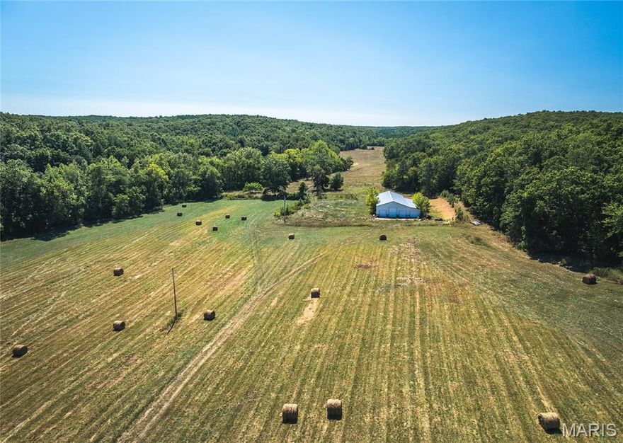 MOTIVATED SELLER PRICE CORRECTION!!! This 257.32± acre Ozark retreat near Steelville offers an exceptional blend of privacy, recreation, and usable improvements in Iron County, Missouri. This hard-to-find tract borders more than 16,000 acres of the Mark Twain National Forest, creating a secluded setting with seemingly endless room to hunt, hike, ride horses, and explore. Approximately 38 acres of open pasture are currently producing hay, while the balance is timbered with mature hardwoods and pine—ideal habitat for wildlife and year-round enjoyment. Multiple elevated building sites provide beautiful valley views and excellent options for a future home, cabin, or lodge. A major bonus is the 4,200± sq ft metal shop with concrete floors, electric, septic, and a nearby well, adding immediate function for equipment storage, projects, or a basecamp setup. Natural springs and a wet-weather creek run through the property before flowing into Courtois Creek, a spring-fed stream known for clear water and fishing. Located roughly two hours from St. Louis, this is a standout property for recreation, relaxation, and long-term ownership.
Property Highlights
Borders 16,000+ acres of Mark Twain National Forest

~38 open pasture acres (currently producing hay)

Timbered balance with mature hardwoods & pine

Multiple build sites with sweeping valley views

4,200± sq ft metal shop: concrete floors, electric, septic, nearby well, lean-to, vehicle lift

Natural springs + wet-weather creek flowing to Courtois Creek

Strong wildlife/recreation potential (hunting, hiking, horseback riding)