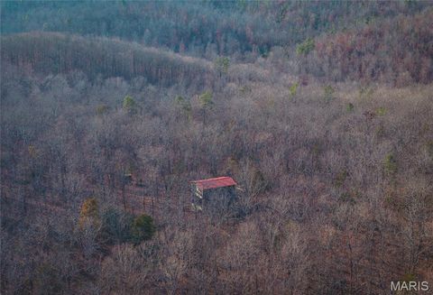 Tiny photo for 000 Wayne 215 ST, Hiram, MO 63944 (MLS # 26030876)
