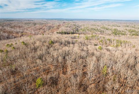 Tiny photo for 000 Wayne 215 ST, Hiram, MO 63944 (MLS # 26030876)