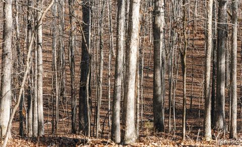 Tiny photo for 000 Wayne 215 ST, Hiram, MO 63944 (MLS # 26030876)