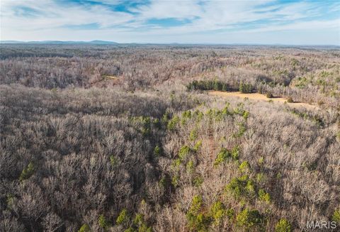 Tiny photo for 000 Wayne 215 ST, Hiram, MO 63944 (MLS # 26030876)