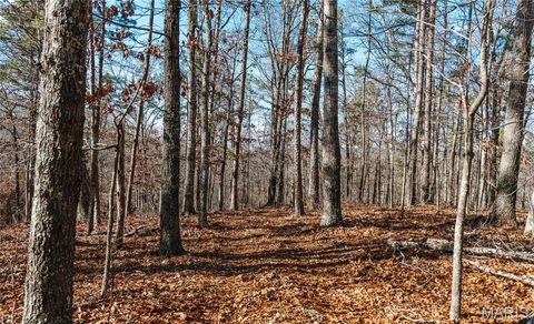 Tiny photo for 000 Wayne 215 ST, Hiram, MO 63944 (MLS # 26030876)