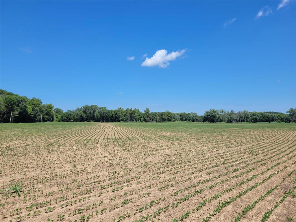 0 Old Cove Rd. (117.6+/- Acres) Road