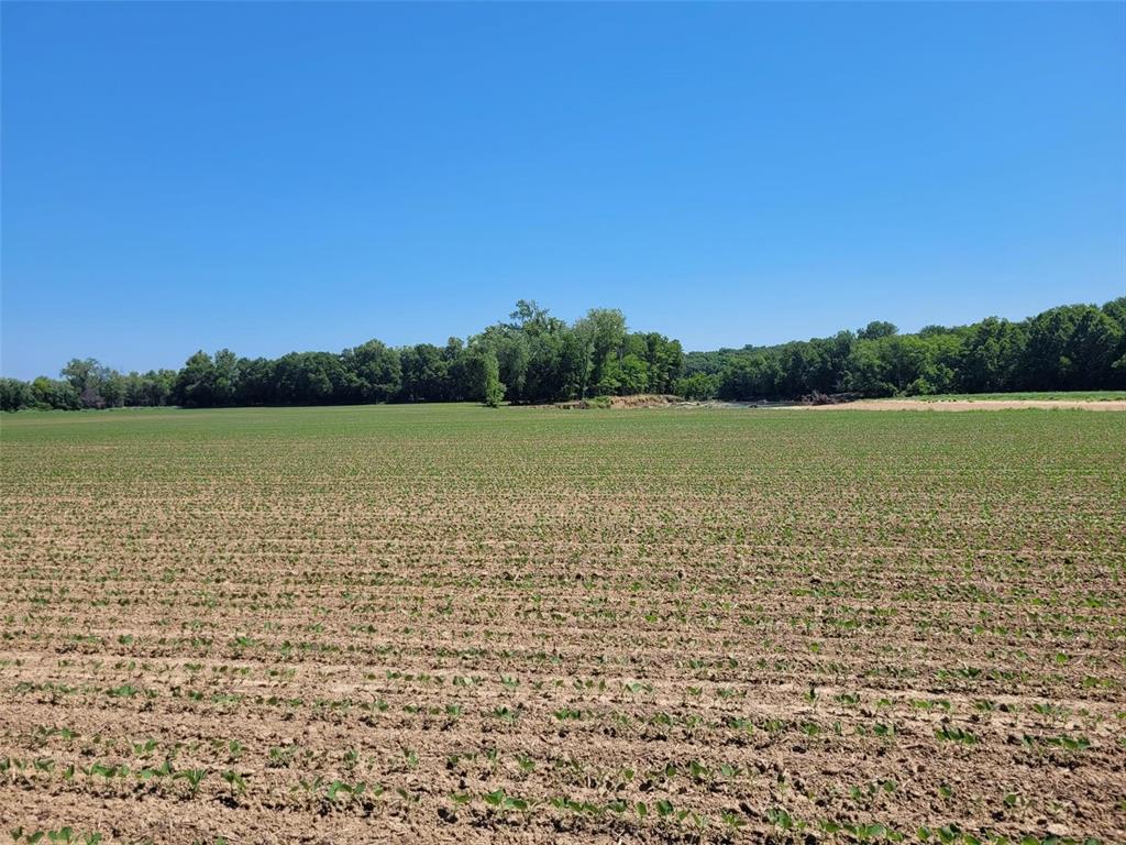 0 Old Cove Rd. (117.6+/- Acres) Road