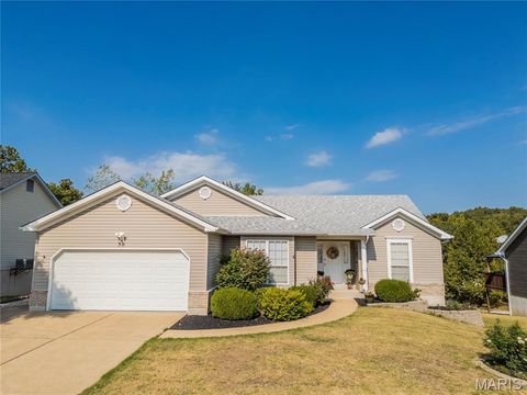 50 Adventura Drive Festus MO 63028