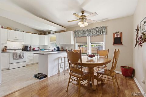 Tiny photo for 915 Concordia Street, Mexico, MO 65265 (MLS # 26046725)