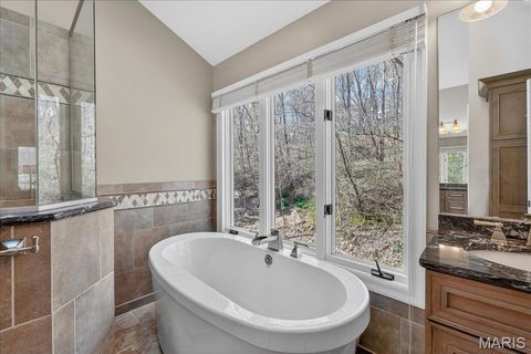 Tiny photo for 17710 Wilding Place Drive, Wildwood, MO 63005 (MLS # 26012654)