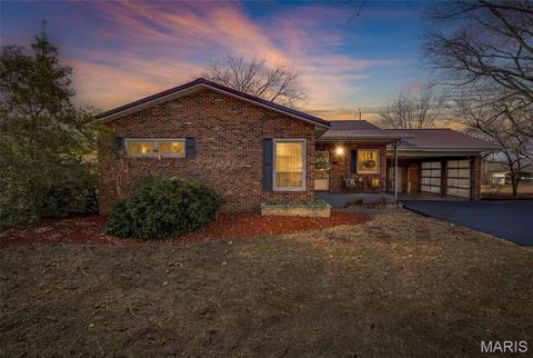 Photo of 303 N Carter Street, Desloge, MO 63601 (MLS # 26001922)