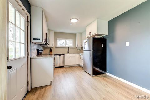 Tiny photo for 7837 La Belle Street, Affton, MO 63123 (MLS # 26018747)