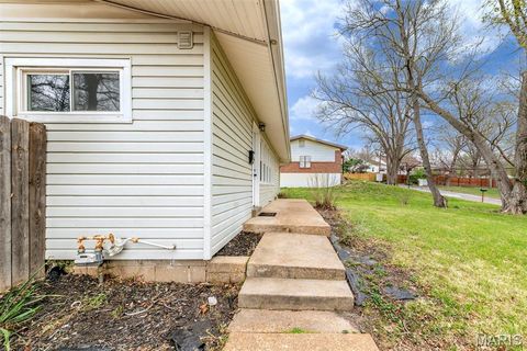 Tiny photo for 7837 La Belle Street, Affton, MO 63123 (MLS # 26018747)
