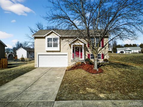 Photo of 681 Ballantrae Drive, Wentzville, MO 63385 (MLS # 26007214)