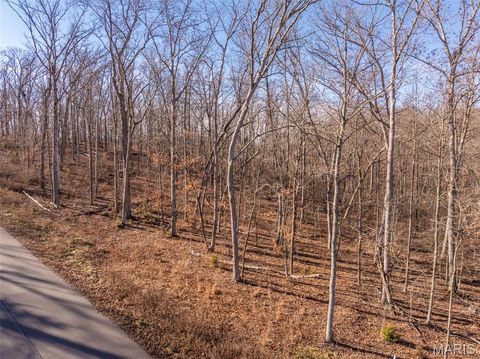 2832 Morgan Lake Drive Innsbrook MO 63390