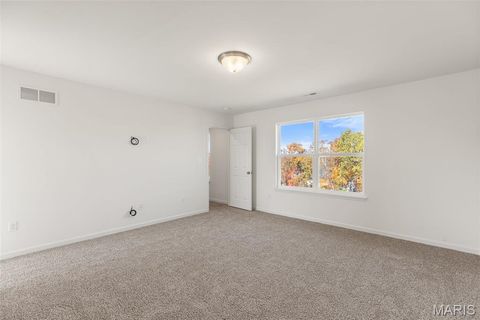 Tiny photo for 123 Day Lily Lane, Wentzville, MO 63385 (MLS # 26006253)