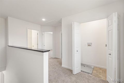 Tiny photo for 123 Day Lily Lane, Wentzville, MO 63385 (MLS # 26006253)