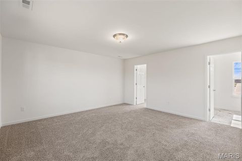 Tiny photo for 123 Day Lily Lane, Wentzville, MO 63385 (MLS # 26006253)