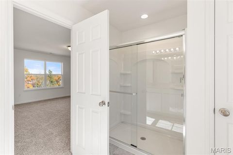 Tiny photo for 123 Day Lily Lane, Wentzville, MO 63385 (MLS # 26006253)