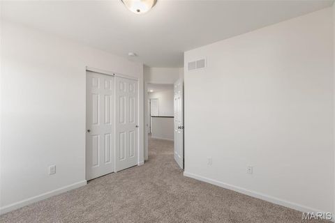 Tiny photo for 123 Day Lily Lane, Wentzville, MO 63385 (MLS # 26006253)