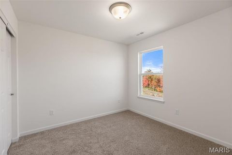 Tiny photo for 123 Day Lily Lane, Wentzville, MO 63385 (MLS # 26006253)