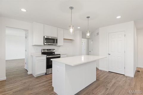 Tiny photo for 123 Day Lily Lane, Wentzville, MO 63385 (MLS # 26006253)