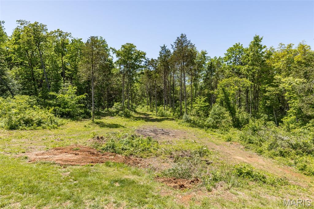 Forest View Estates - Residential