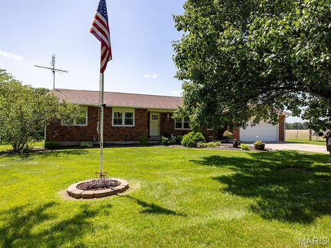 Tiny photo for 14816 Highway UU, Bowling Green, MO 63334 (MLS # 25043163)