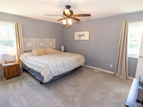 Tiny photo for 14816 Highway UU, Bowling Green, MO 63334 (MLS # 25043163)