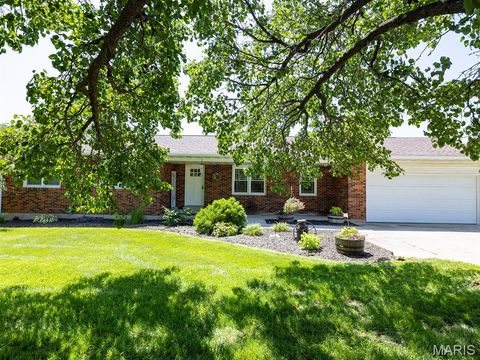 Photo of 14816 Highway UU, Bowling Green, MO 63334 (MLS # 25043163)