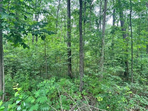 Tiny photo for 526 Tarkio Drive, Bismarck, MO 63624 (MLS # 26037805)