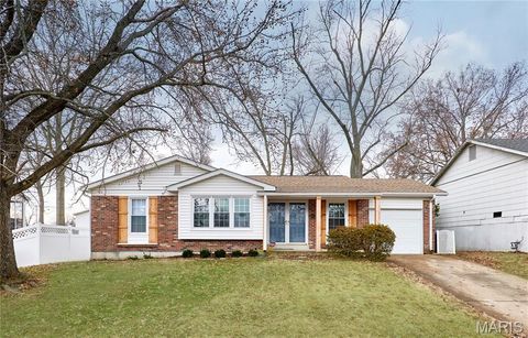 Photo of 396 Sorrento Drive, Ballwin, MO 63021 (MLS # 25080679)