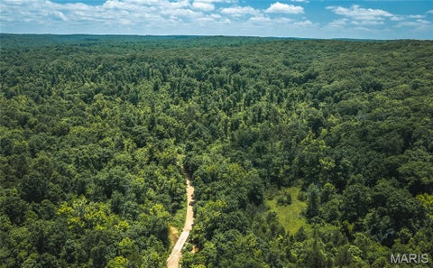 Tiny photo for 000 Czar Tower Road RD, Steelville, MO 65565 (MLS # 26041594)