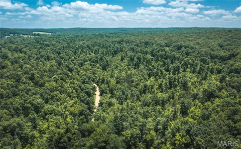 Tiny photo for 000 Czar Tower Road RD, Steelville, MO 65565 (MLS # 26041594)