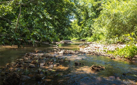 Tiny photo for 000 Czar Tower Road RD, Steelville, MO 65565 (MLS # 26041594)