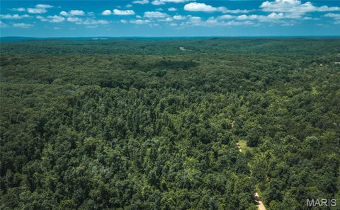 Tiny photo for 000 Czar Tower Road RD, Steelville, MO 65565 (MLS # 26041594)
